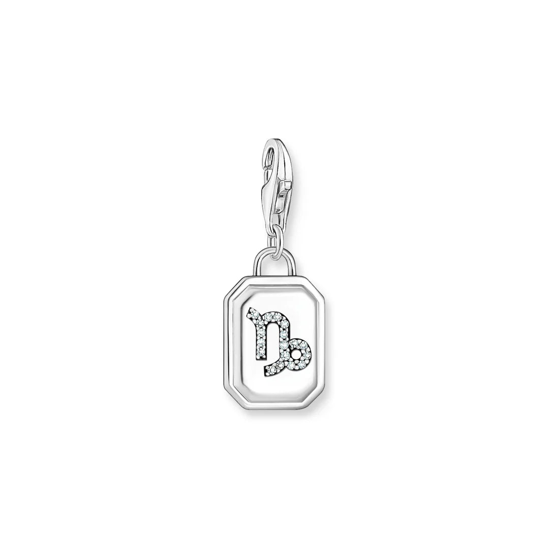 CHARM CLUB CAPRICORN CHARM