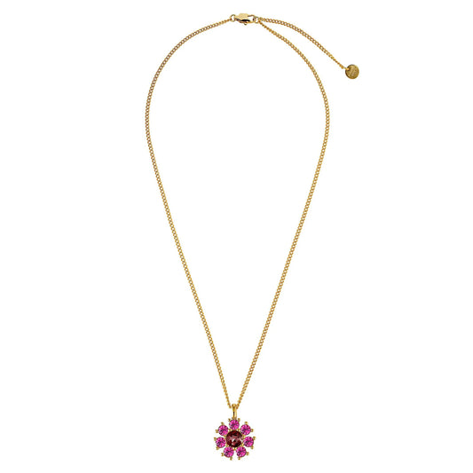 DELISE SHINY GOLD PINK/WINE NECKLACE