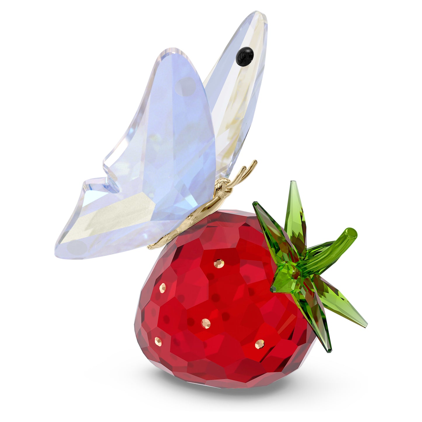 IDYLLIA BUTTERFLY AND STRAWBERRY